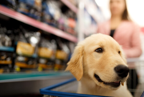managing inventory in your pet store