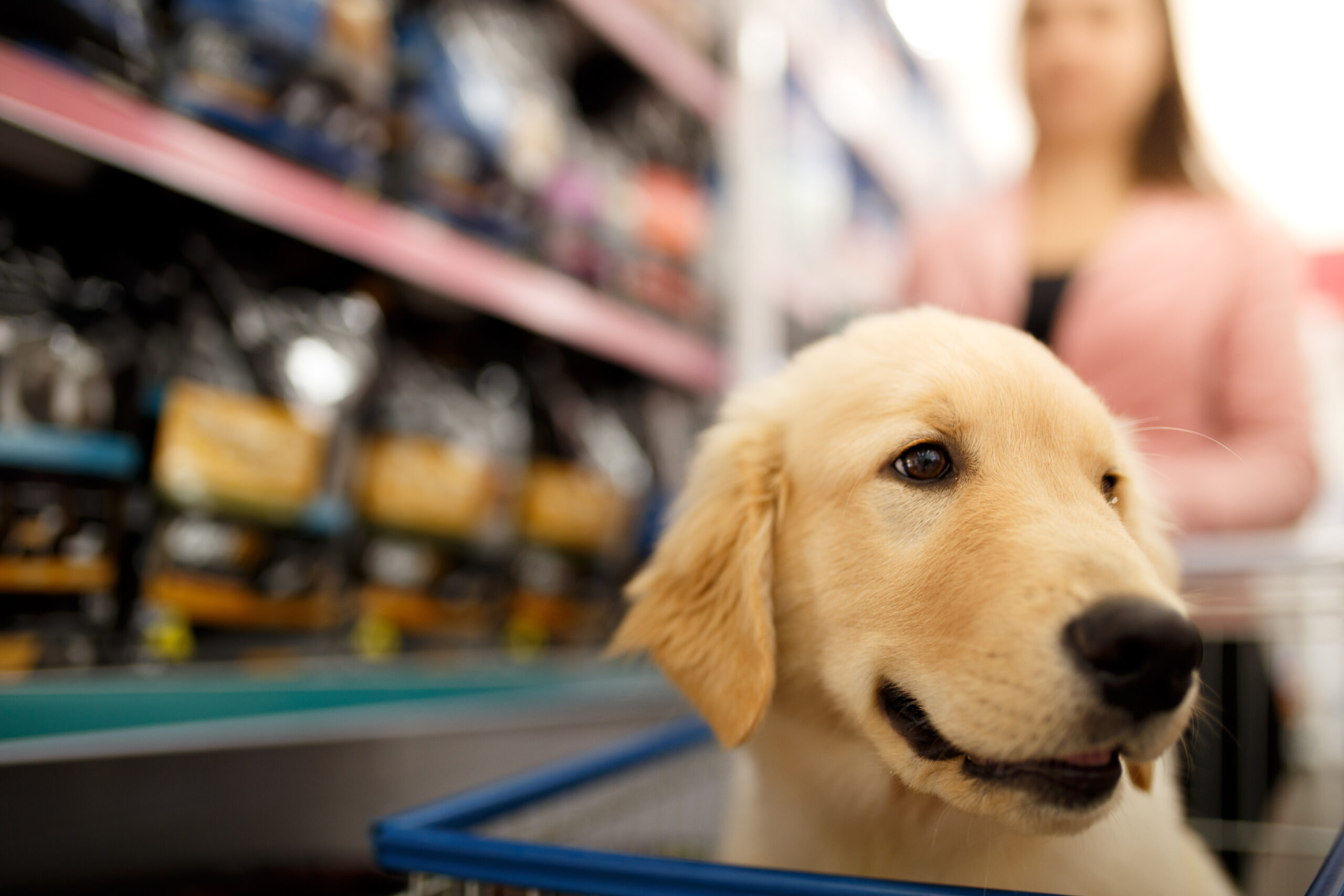 Best Practices for Managing Inventory in Your Pet Store