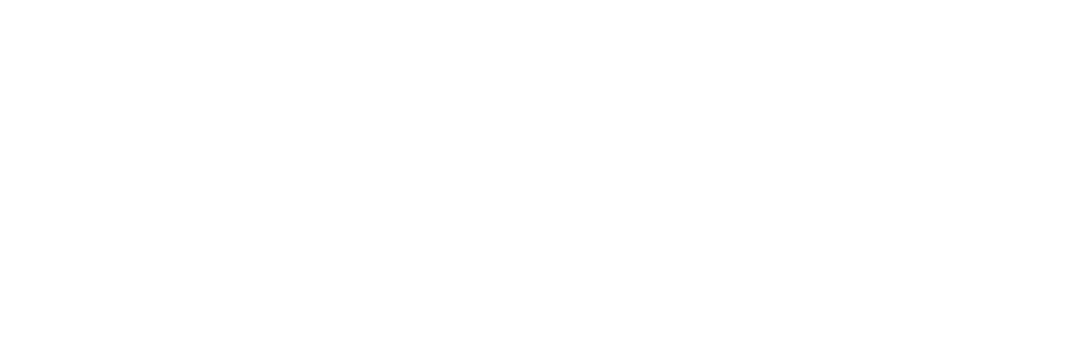 DrinkHippie white Logo